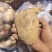 土豆