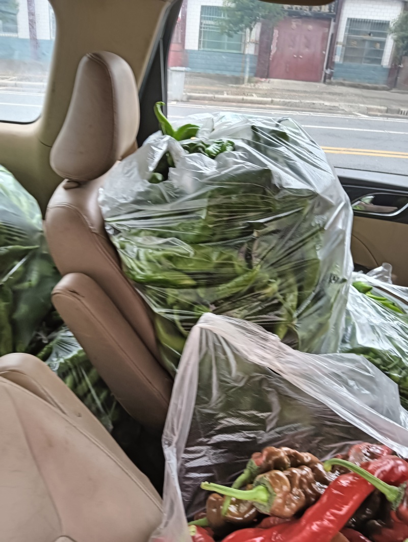 新鲜辣椒量大品质好