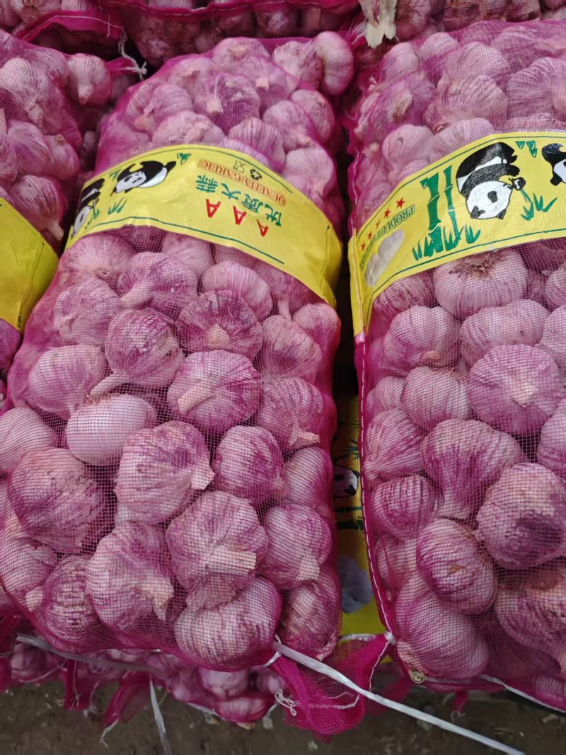江苏邳州市精品大蒜