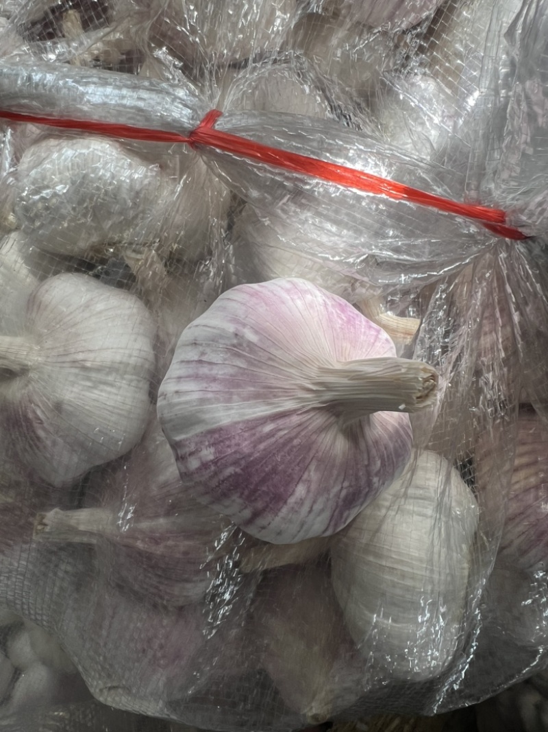 精品邳州库内净蒜2025年大蒜个头大品质好