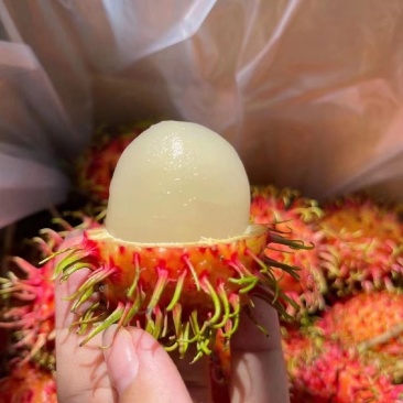 海南红毛丹去大枝条黑框地头价11