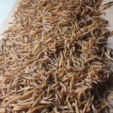 野生天冬，产地直发，保质保量，可视频看货，诚信经营