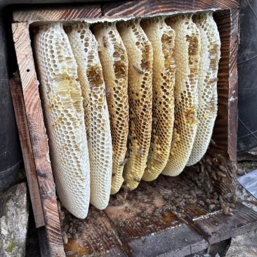 蜂蜜