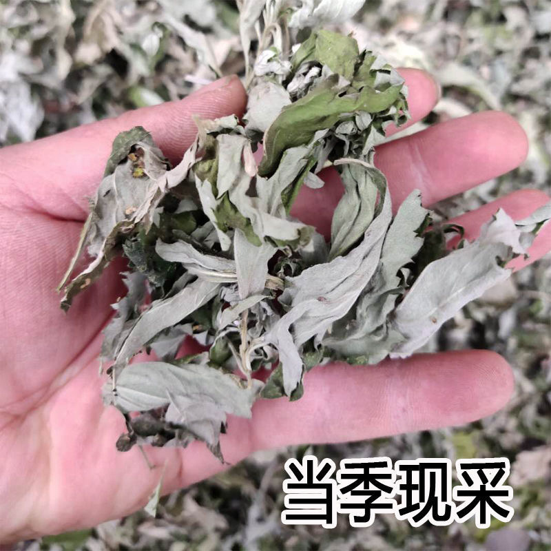 野生干艾叶伏牛山大艾叶河南艾草小艾叶无硫艾叶无梗正品