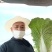 坝上精品大白菜大量供应全国各地