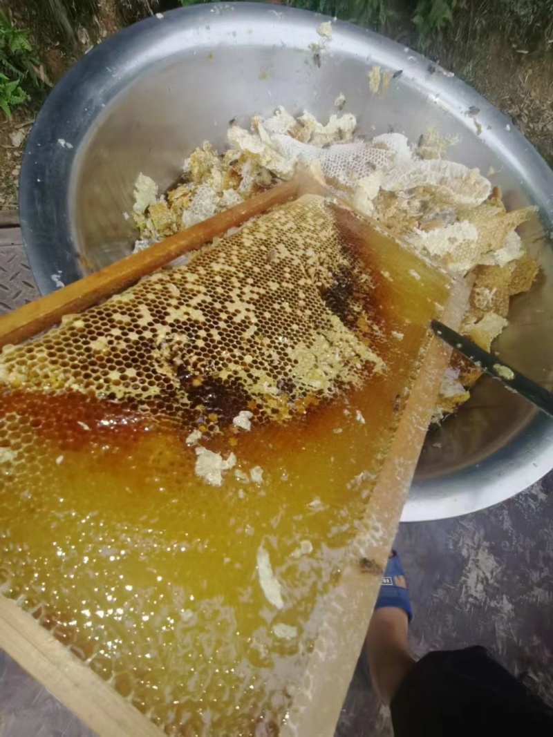 乌桕蜜农户一手货源专业养殖欢迎各地客商电话订货