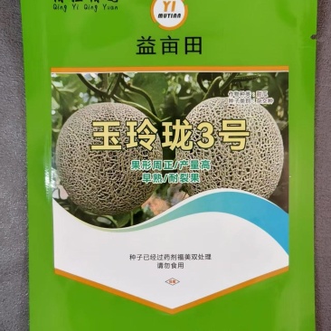 玉玲珑3号甜瓜种苗早熟产量高果型周正耐裂果根系发达