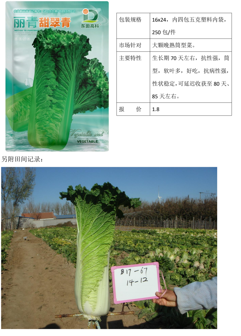 甜脆青65甜翠青青麻叶类型白菜绍菜