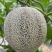 玉玲珑3号甜瓜种苗早熟产量高果型周正耐裂果根系发达
