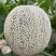 玉玲珑3号甜瓜种苗早熟产量高果型周正耐裂果根系发达