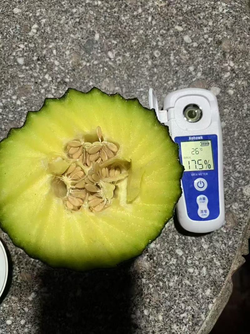 玉玲珑3号甜瓜种苗早熟产量高果型周正耐裂果根系发达