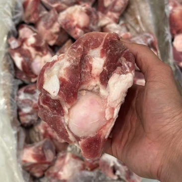 满肉棒骨