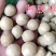 阿胶珠山东阿胶珠***阿胶粘中药材阿胶珠一等品
