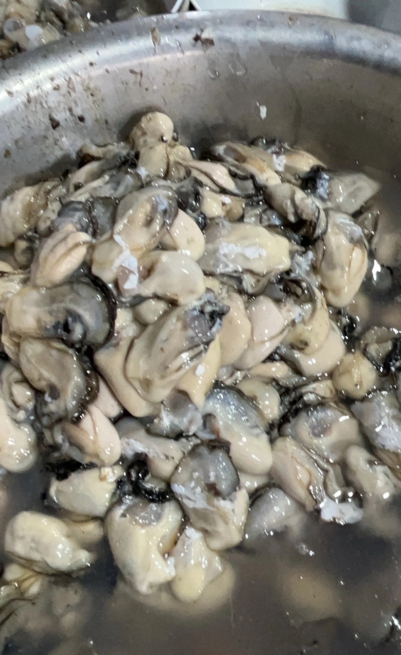 福建宁德霞浦海蛎蚝肉小中大都有