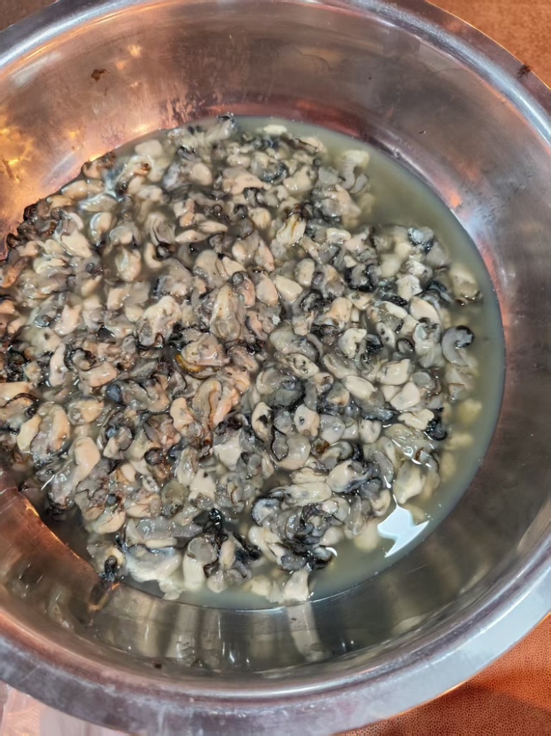 福建宁德霞浦海蛎蚝肉小中大都有