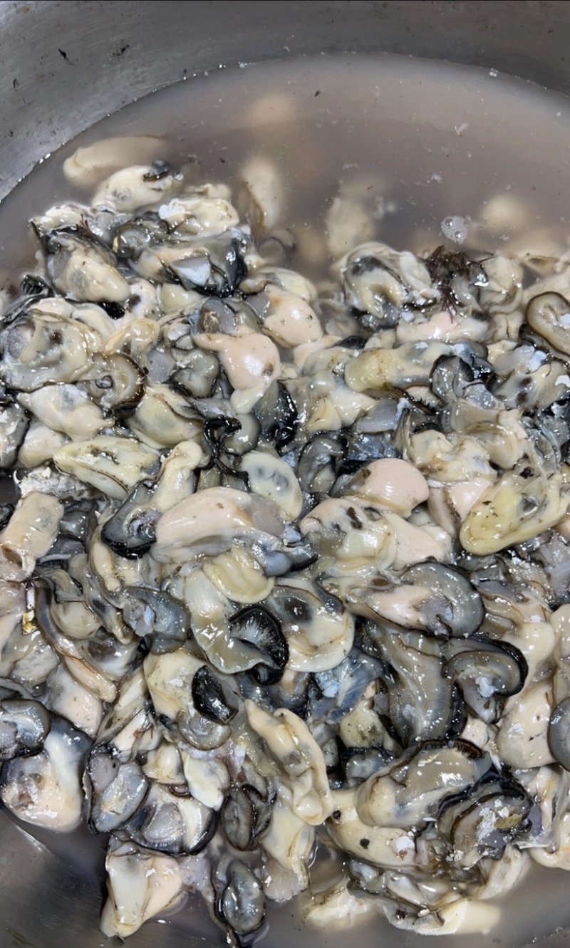 福建宁德霞浦海蛎蚝肉小中大都有