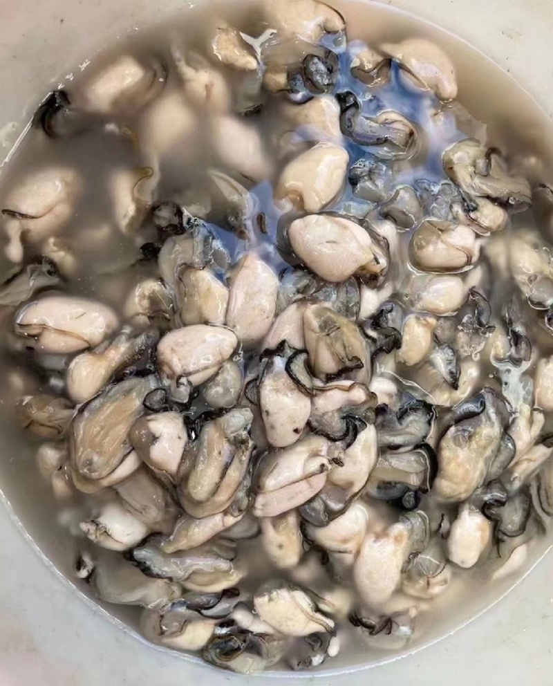 福建宁德霞浦海蛎蚝肉小中大都有
