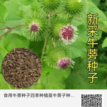 大力新货市