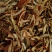 《陈皮》陈皮丝颜色好浙江陈皮买好药尽在聚源中药