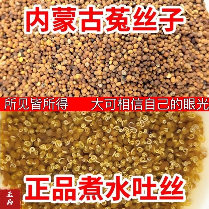 菟丝子正宗中药材内蒙菟丝子真品一等品野生菟丝子个个吐丝