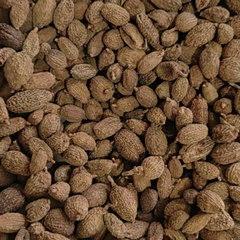 《砂仁》壳砂仁长序砂仁颗粒饱满买好药尽在聚源中药