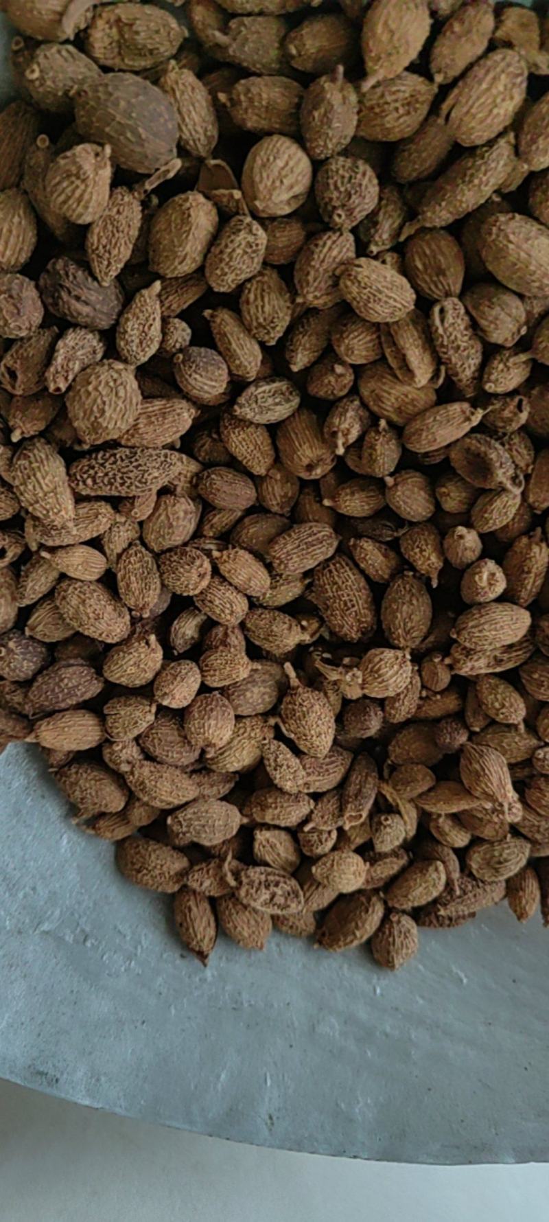 《砂仁》壳砂仁长序砂仁颗粒饱满买好药尽在聚源中药