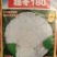 白玉108越冬180松花菜主流品种欢迎新老朋友进店选购