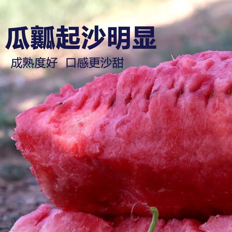 宁夏西瓜/硒砂瓜/石头瓜/金城系列/金花系列全国代发保熟