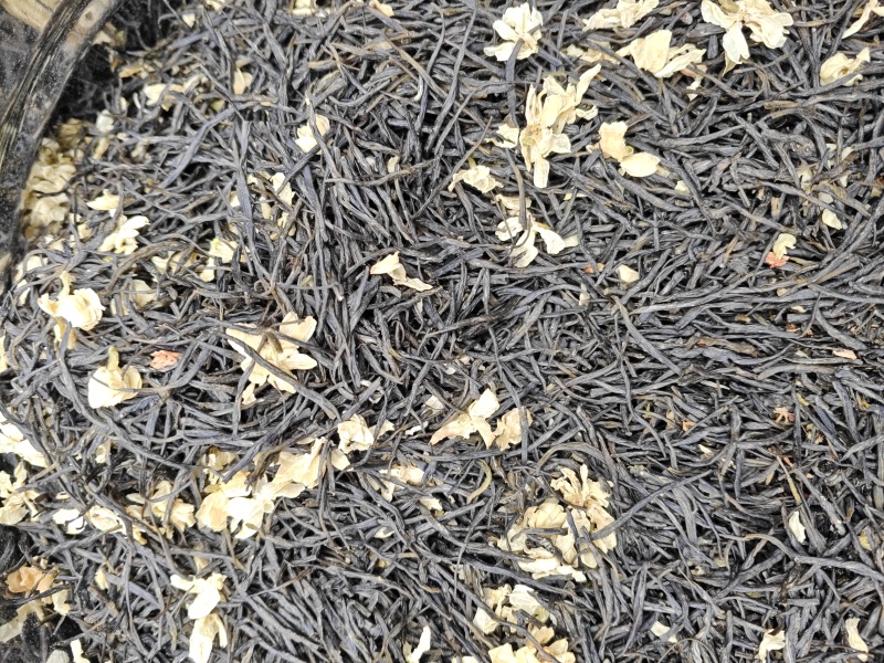 四川茉莉花茶