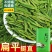 【一斤】杭州龙井茶2025新茶雨前龙井茶叶批发高山绿茶500