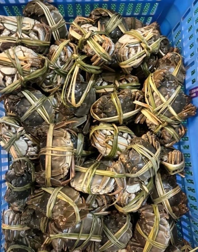 大闸蟹龙虾一手货源产地直销