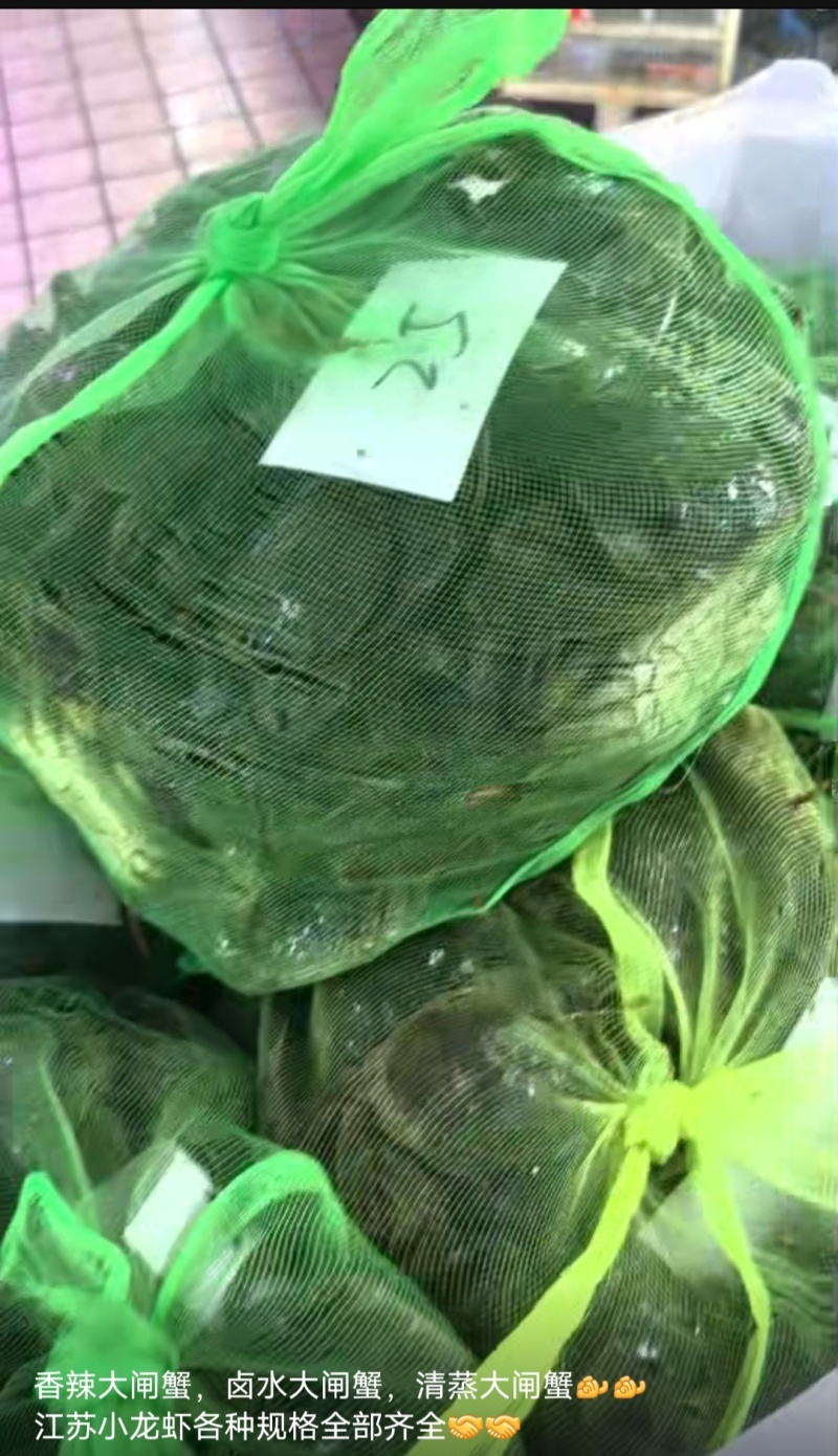 大闸蟹龙虾一手货源产地直销没有中间商
