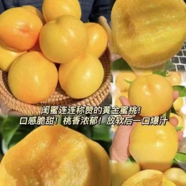 黄油桃，蒙阴蜜桃