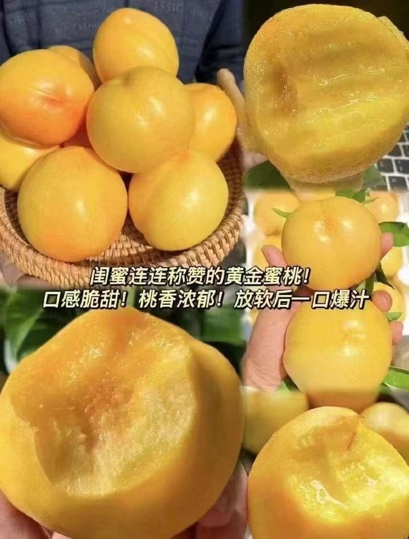 黄油桃，蒙阴蜜桃
