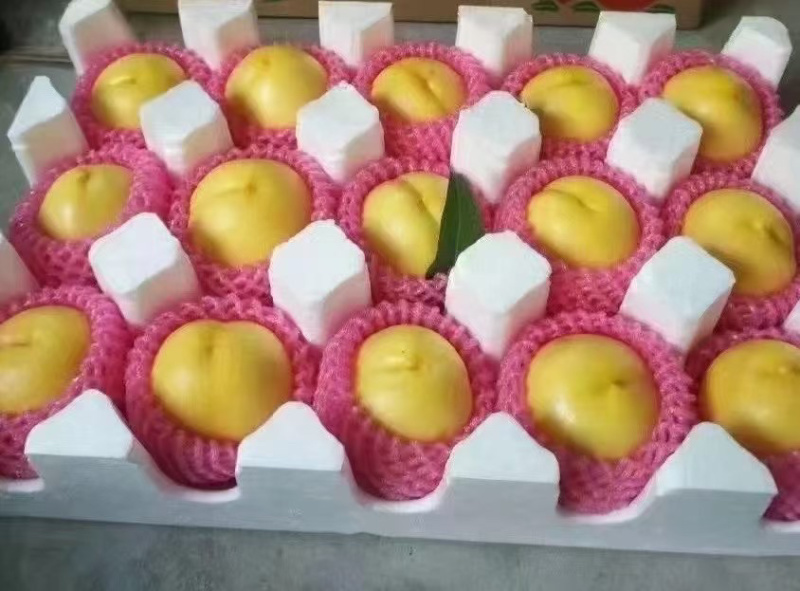 黄油桃，蒙阴蜜桃