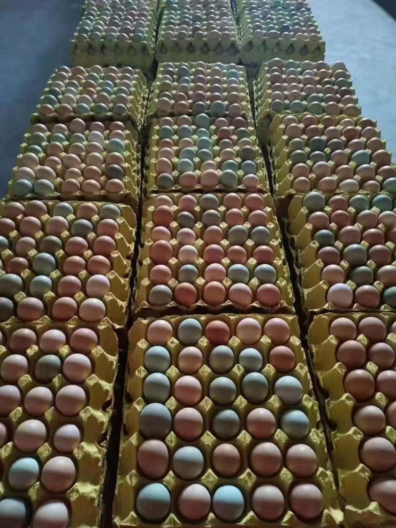 【推荐】湖南土鸡蛋产地直发一手货源品质保证量大价优