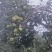华瑞苹果电商货