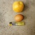 山西省繁峙县白水大杏