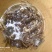 大闸蟹上市，只只满肉满黄，当天发第二天到，现捉现卖