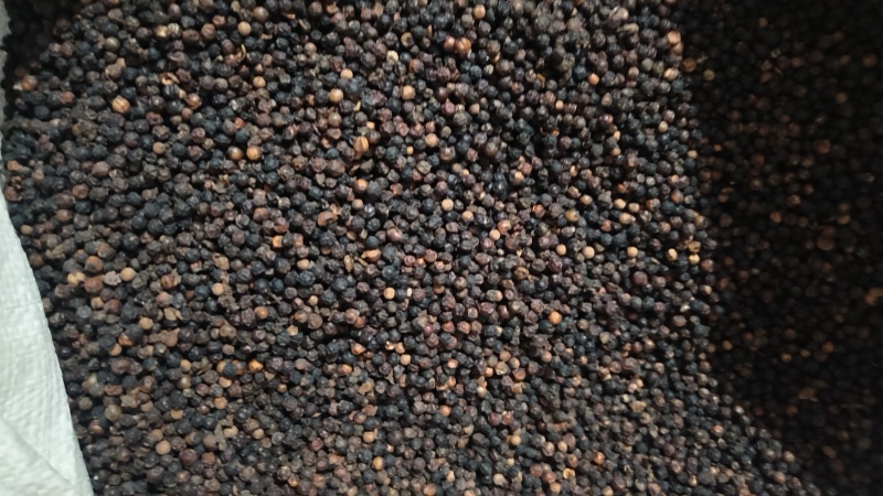 黑胡椒
