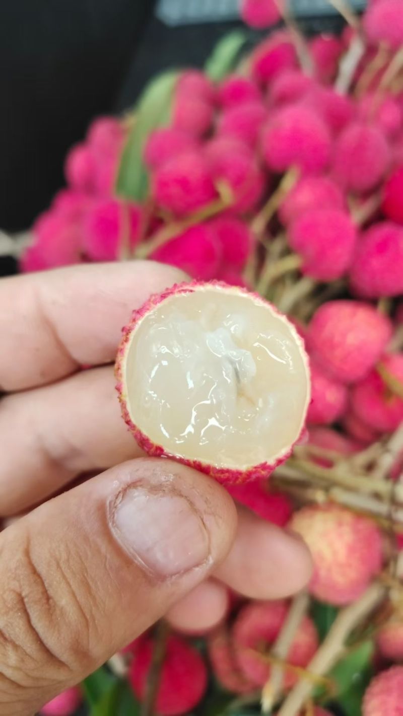 有少量冰荔，看上的联系