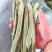 云南保山高原红大山刀豆。品质优良