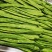 云南保山高原红大山刀豆。品质优良