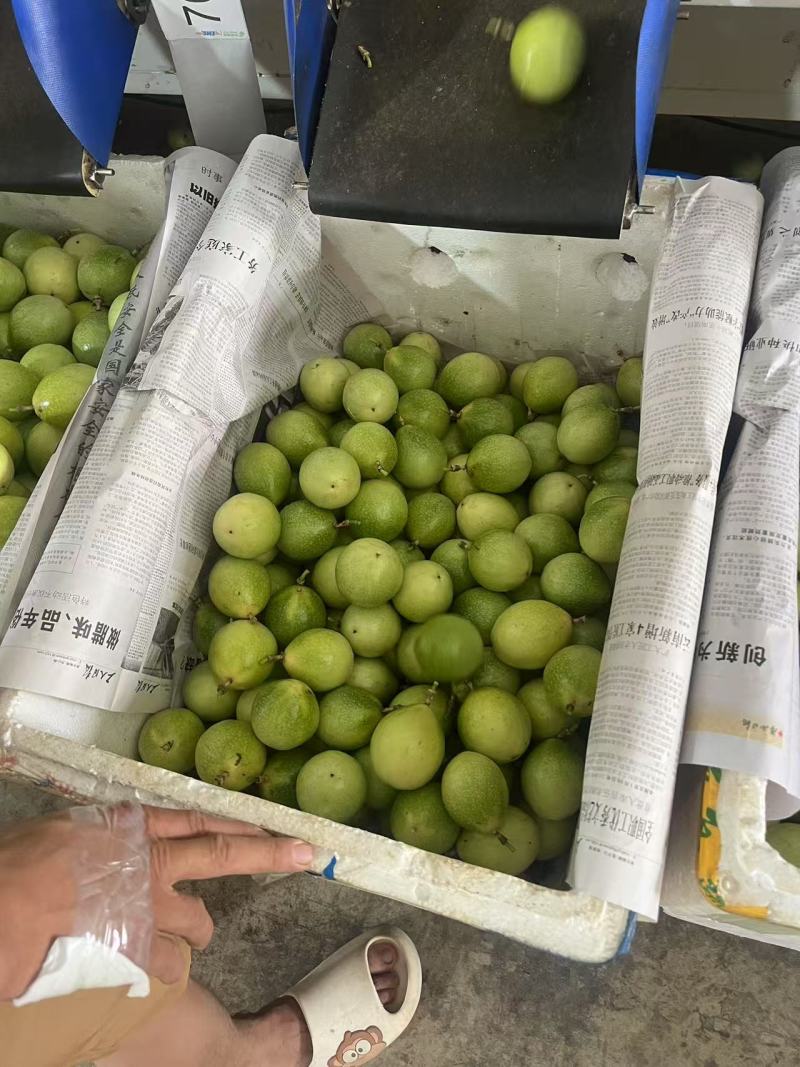 百香果，钦蜜9号现货对全平台电商一件代发！