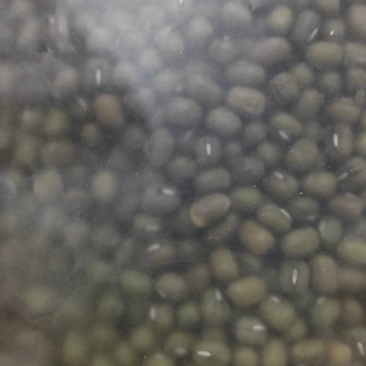 东北农家笨绿豆绿豆粥熬汤精品批发现货全国发货