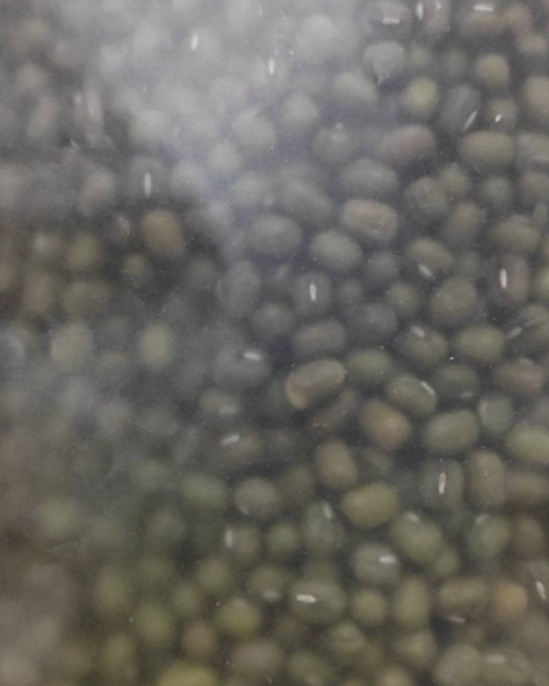 东北农家笨绿豆绿豆粥熬汤精品批发现货全国发货