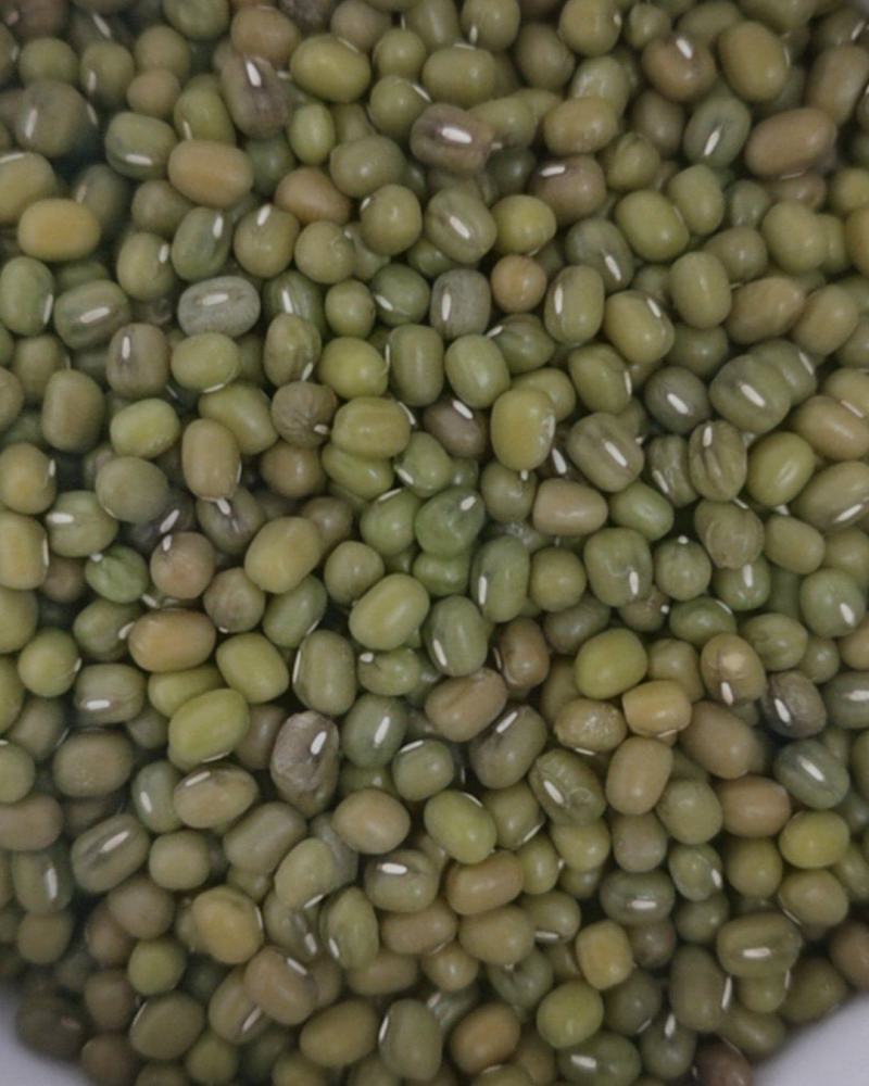 东北农家笨绿豆绿豆粥熬汤精品批发现货全国发货