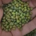 东北农家笨绿豆绿豆粥熬汤精品批发现货全国发货
