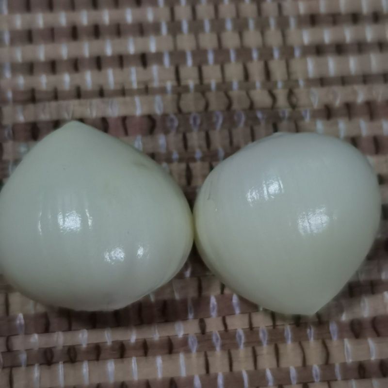 苍山二三瓣蒜新鲜老品种笨大蒜瓣大特级23瓣大蒜头大颗粒批