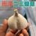 苍山二三瓣蒜新鲜老品种笨大蒜瓣大特级23瓣大蒜头大颗粒批